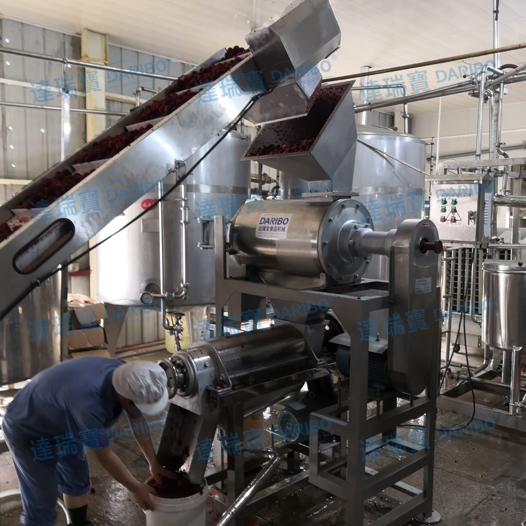 l加工厂自动樱桃榨汁机 杨梅榨汁机榨冰镇杨梅汁 搭配杨梅生产线
