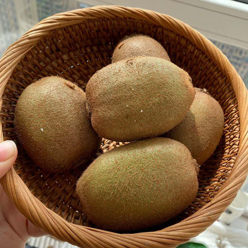 陕西翠香徐香绿心猕猴桃礼盒装当季新鲜水果现摘现发5斤包邮