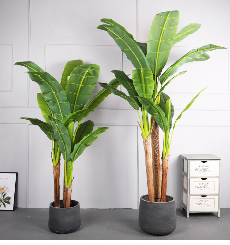 4m四杆芭蕉树是否进口否是否专利货源否包装纸箱类型盆景产品编号qh54