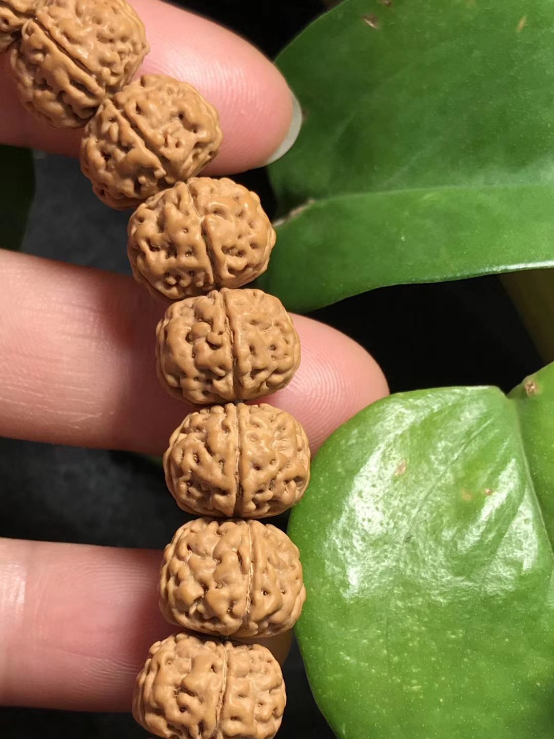 南瓜桩小金刚手持,印尼小金刚菩提单圈 手串(货号17)