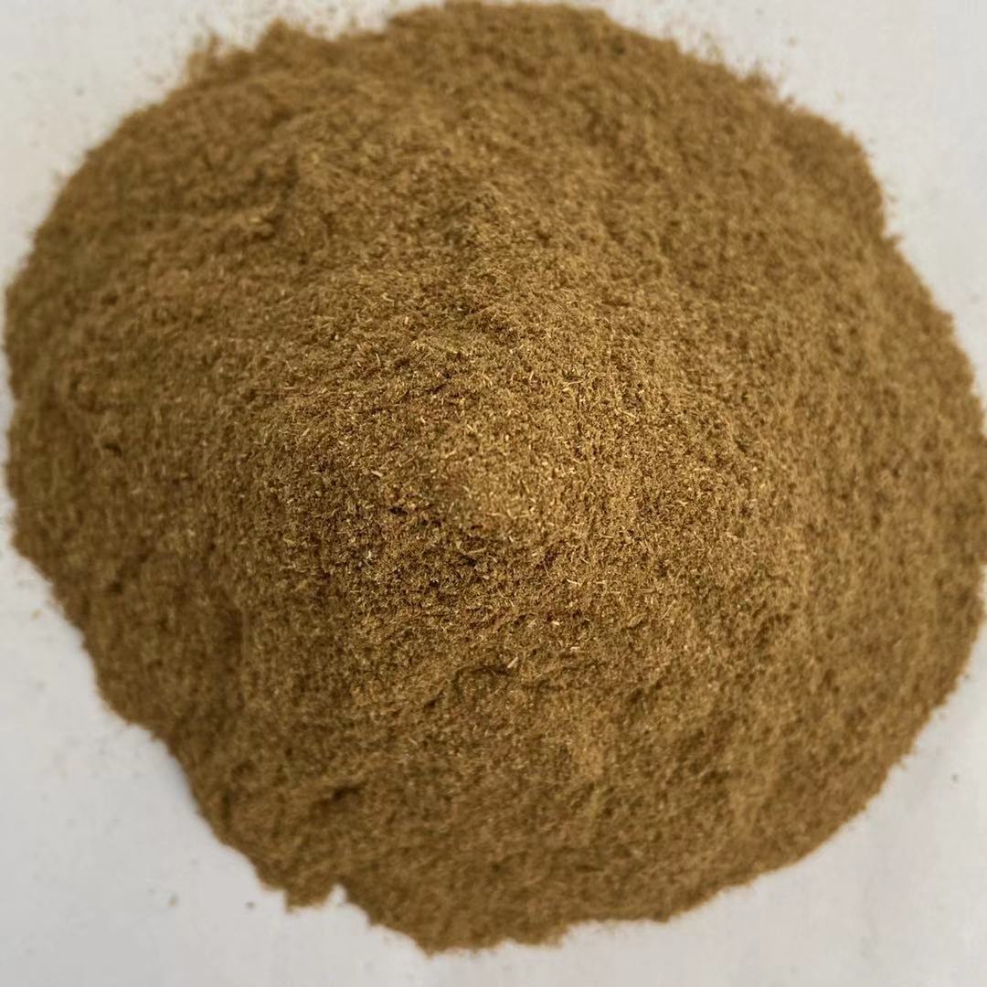 华懋饲料级 松针粉 绿色松针粉 松针粉 植物性饲料 采摘新鲜松叶