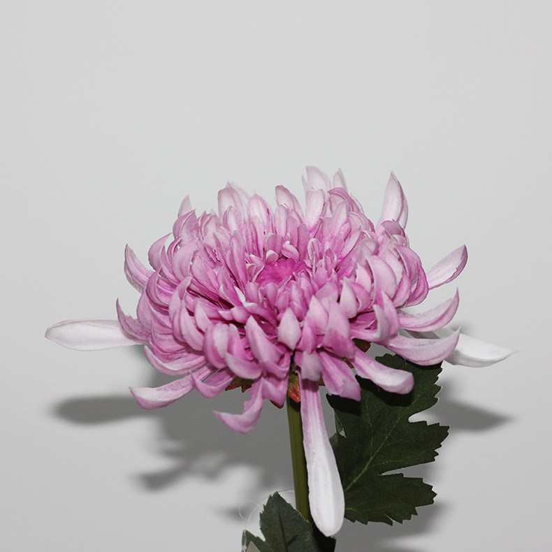 北欧风细直双瓣翠菊仿真花装饰假花工艺品家居保湿感仿真花朵批发