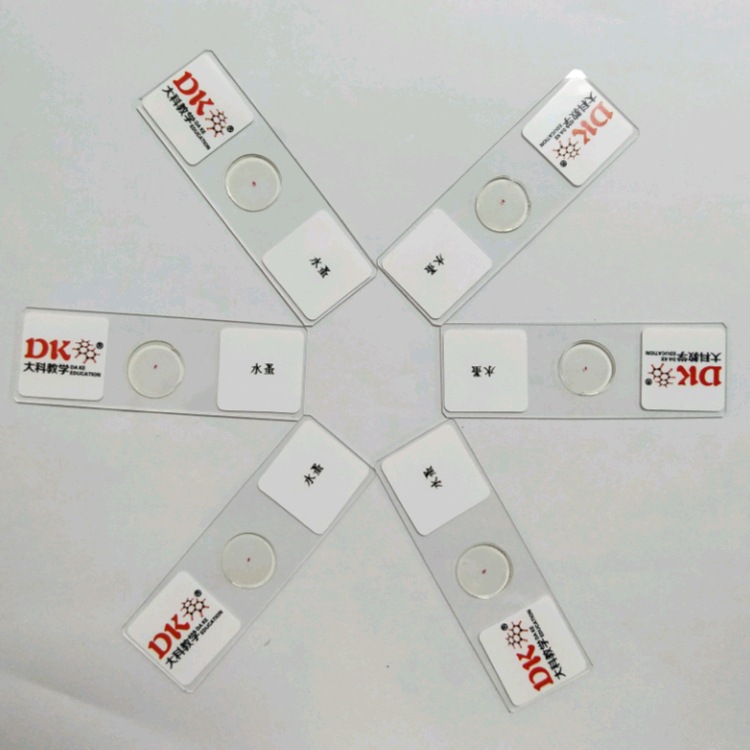 生产厂家显微镜玻片生物切片 高校使用动物切片 水蚤装片