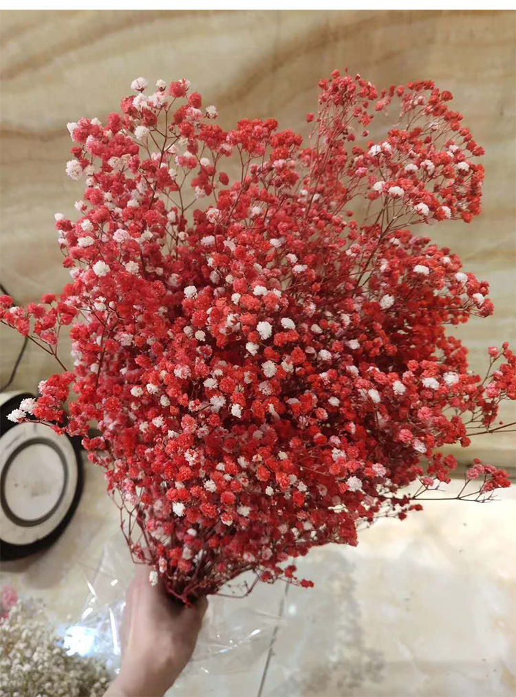 永生花厂家批发 永生满天星 干花满天星 diy家居装饰摆设批发