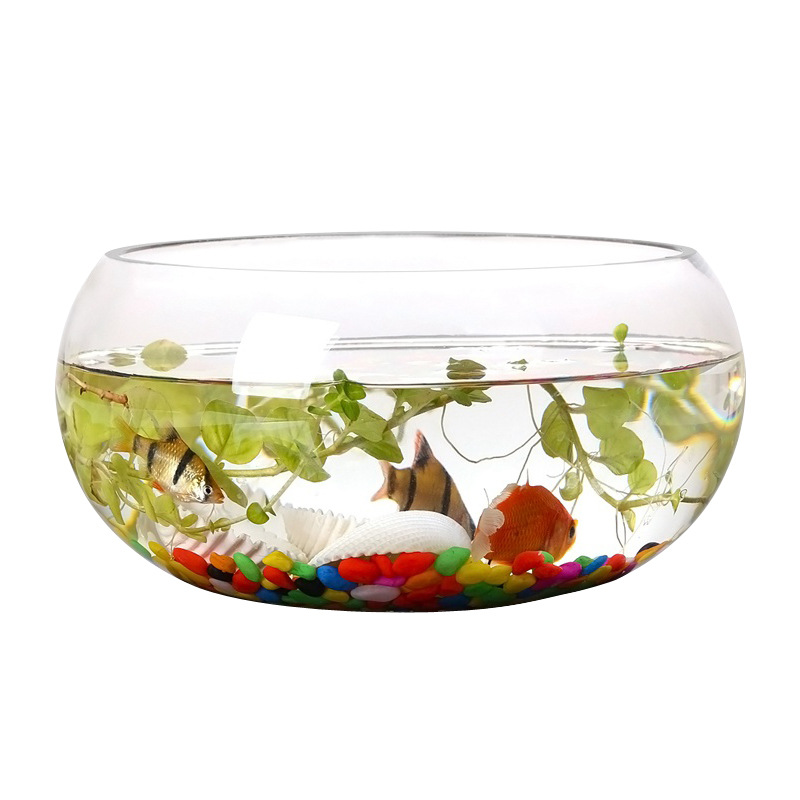 Generation Fish Tank Transparent Glass Office Living Room Creative Hydroponics Drum Cylinder round Turtle Jar Mini Desktop Fish Tank