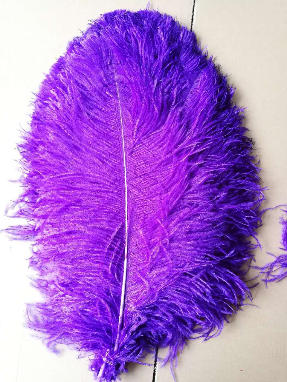 南非天然鸵鸟羽毛 酒店橱窗婚庆桌花装饰可染色鸵鸟毛批发15-75cm