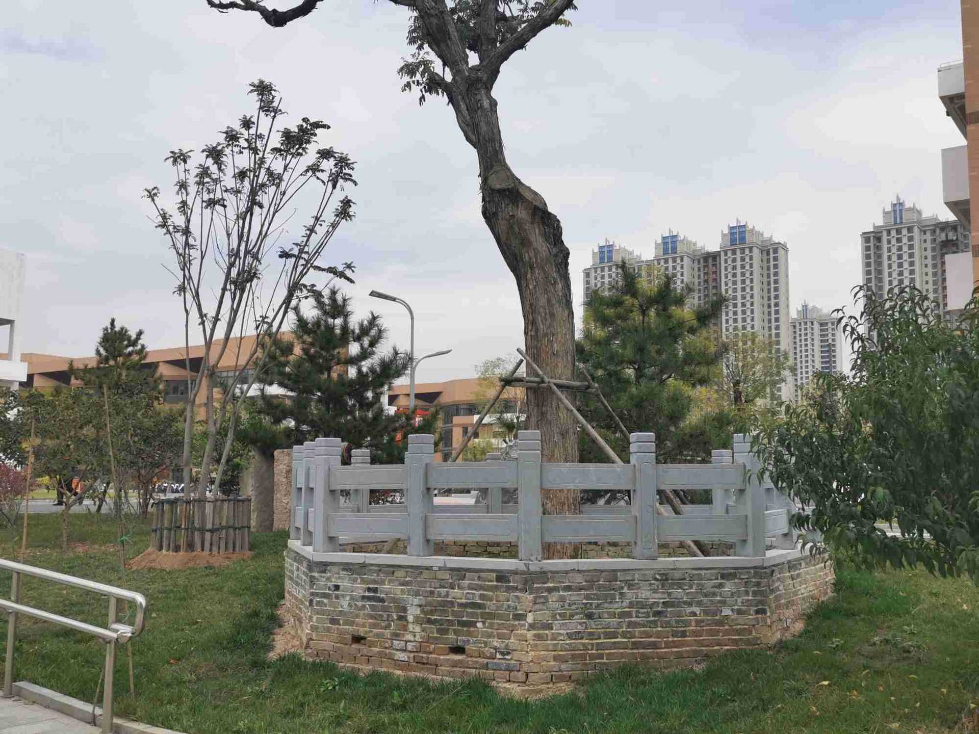 古树保护围栏 青石栏杆 树池护栏定制加工各种规格材质的石雕树栏