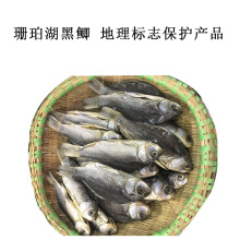 黑鲫 湖南特产鲫鱼水产干货 珊珀湖黑鲫量大从优