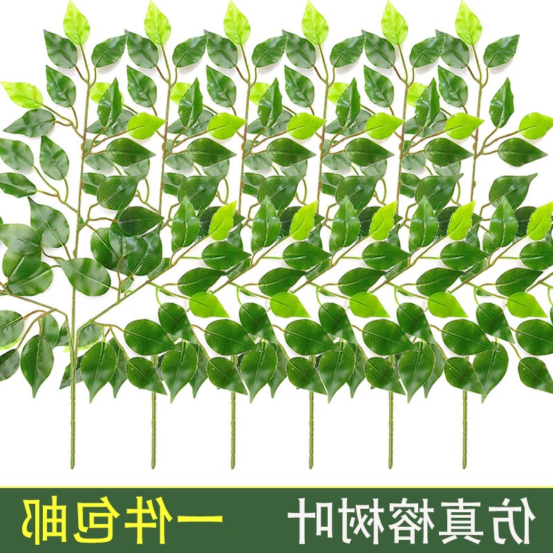 仿真榕树叶榕树枝单支树叶假树叶塑料室内假树枝叶绿叶榕树枝装饰