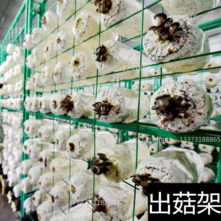 平菇出菇养菌一体架 江西出菇栽培架 蘑菇专用托架销往安徽河南