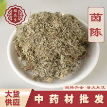 中药材批发茵陈 散装棉茵陈棉白蒿绵茵陈 茵陈蒿 茵陈草 量大从优