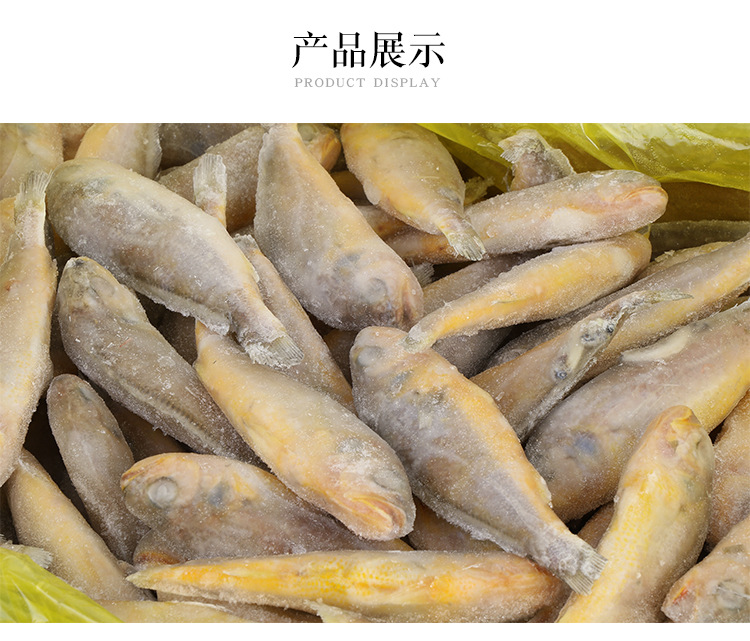冻黄花鱼 单冻 黄花鱼 口感鲜美 个头均匀 东海小黄鱼