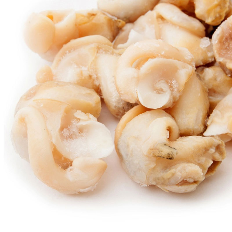 爱尔兰白娥螺 大花螺海螺 刺身螺 熟冻白螺 海螺 20-30粒/斤