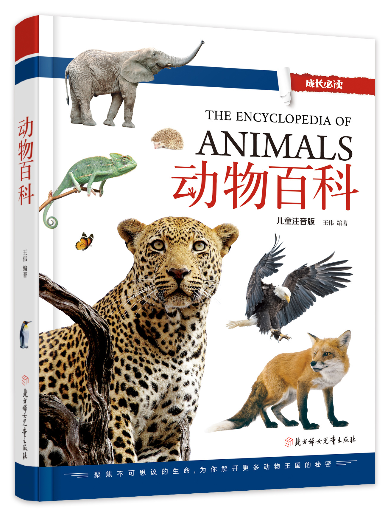 正版畅销童书成长必读动物百科儿童注音版6-8-9岁儿童美绘本 动物