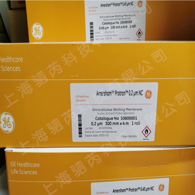 gewhatmanamershamprotrannc膜硝酸纤维素膜