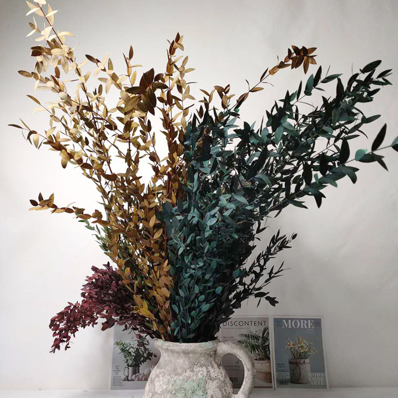 厂家供应永生花材批发家居插花辅材干花花束保鲜花美叶桉摆件桌面