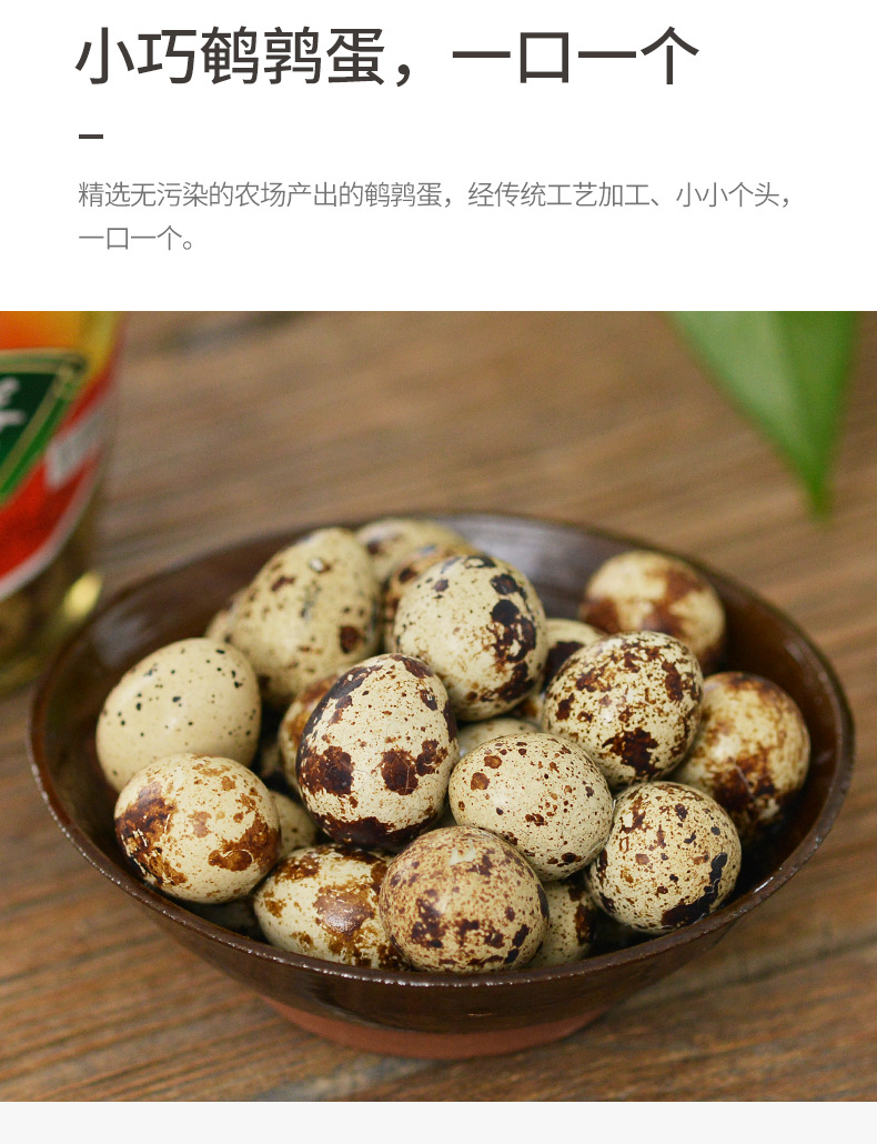 礼盒装五香鹌鹑蛋罐头 冀冠厂家直销 盐焗小零食批发 340克卤蛋