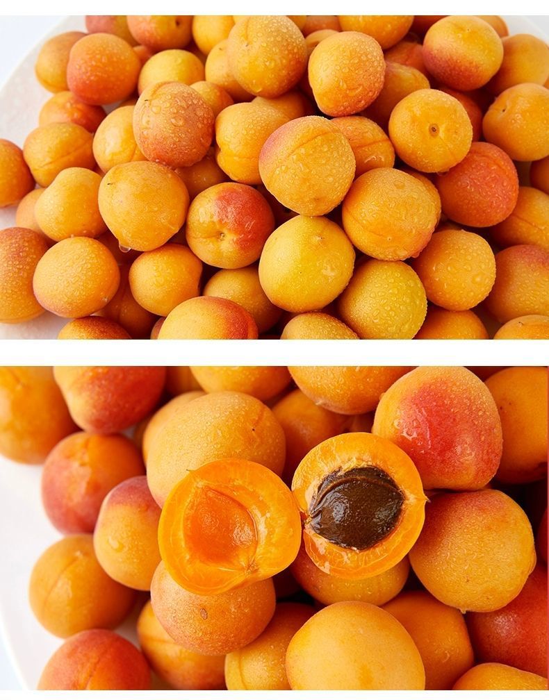 4斤顺丰包邮新疆小红杏新鲜水果吊干杏子阿克苏当应季小白杏整箱