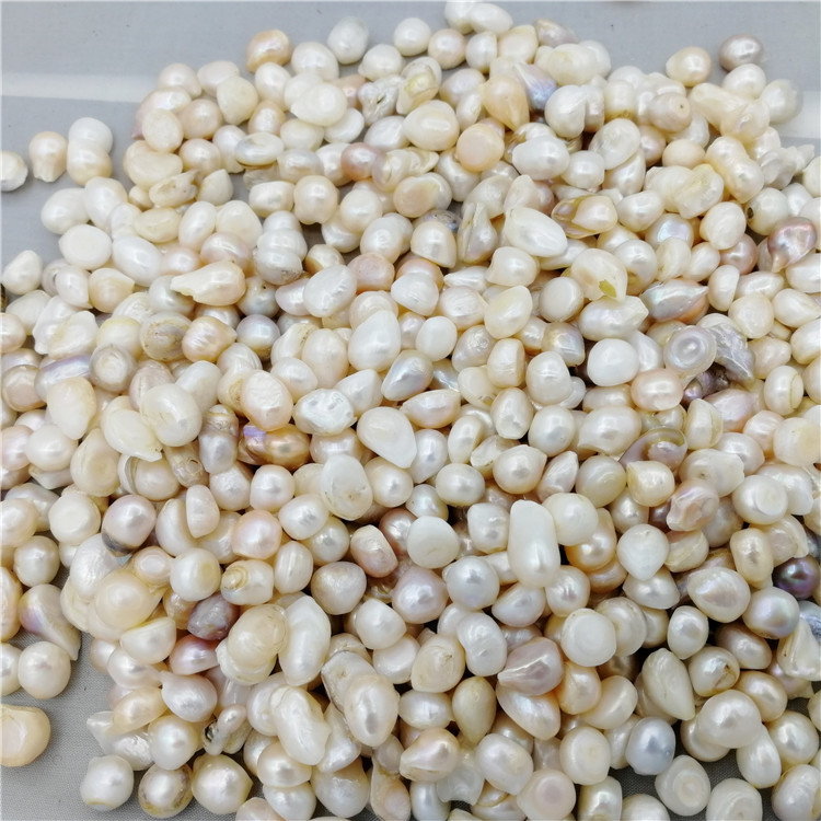 诸暨山下湖珍珠磨粉珍珠 药用珍珠 供佛 曼扎 鱼缸 按斤称