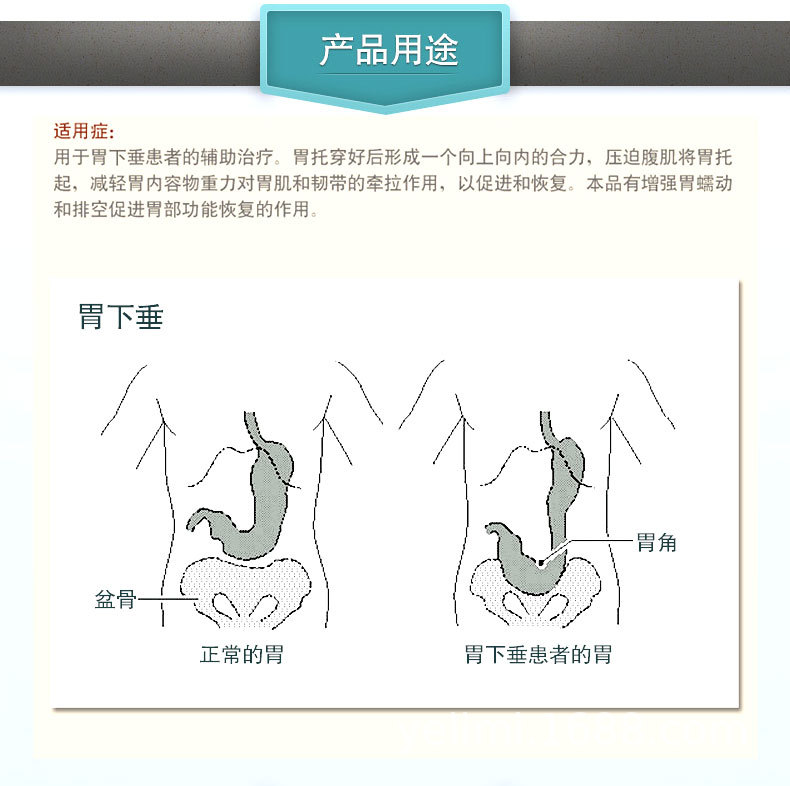 点邦胃托佩戴方法图片图片