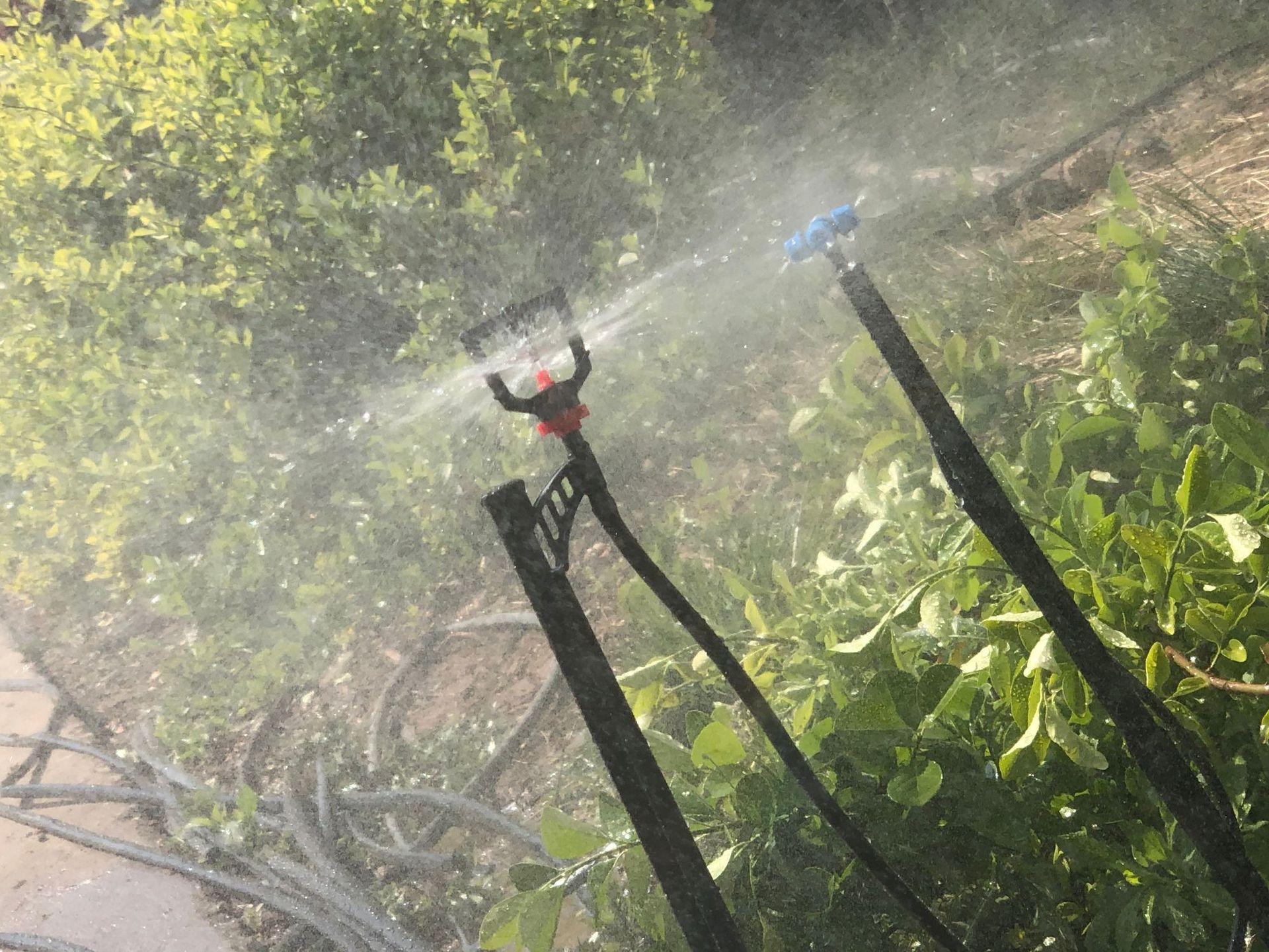源头厂家地插杆果树喷灌地插插杆农业喷灌插杆配框架喷头地插微喷