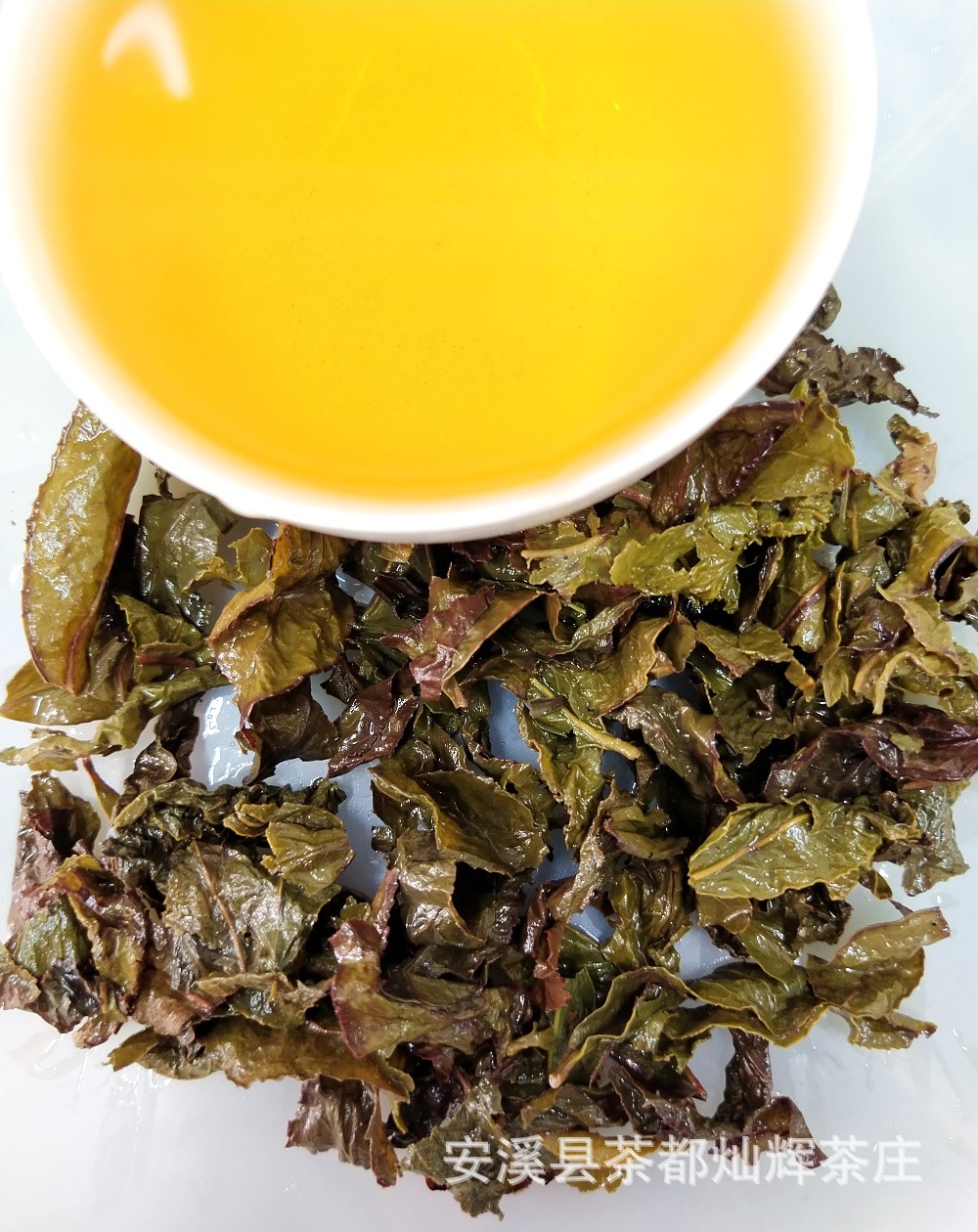 四季春奶茶店专用茶叶青茶喜茶台金萱奶茶原料茶颜悦色茶饮芝士茗