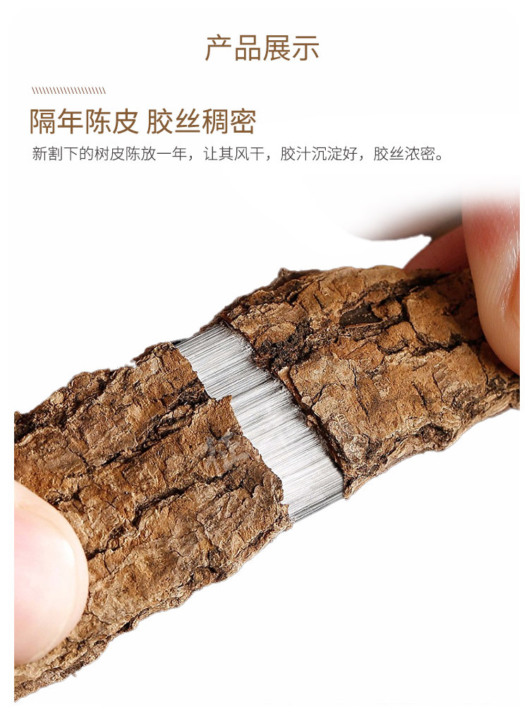 张家界深山采摘杜仲皮老杜仲树厚皮 成捆 拉丝明显杜仲茶泡茶泡酒