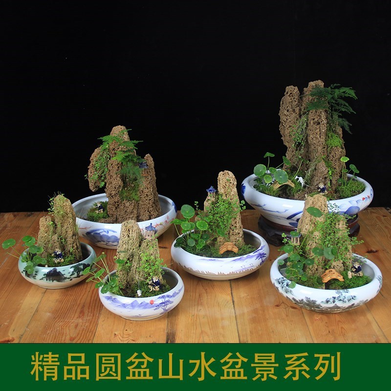 室内制作吸水石假山上水石大型植物小型小人物阳台盘景欣赏养鱼缸