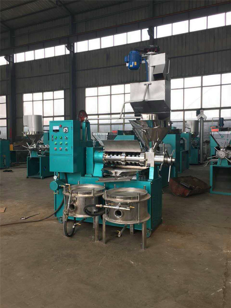油桐籽螺旋榨油机 全自动商用大型菜籽花生榨油机 油坊用压榨设备