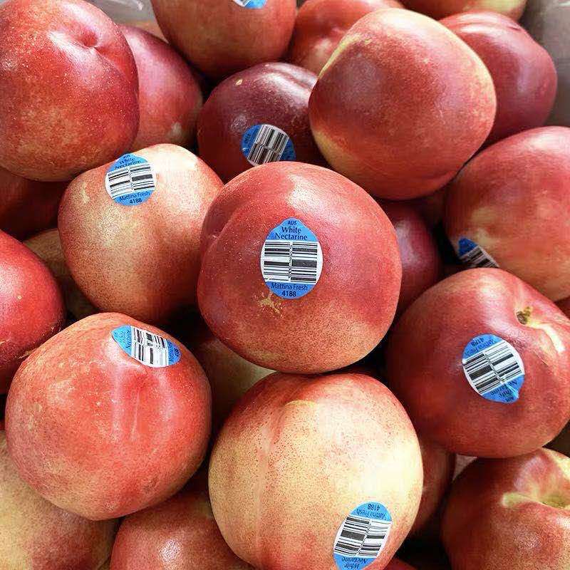 【京东空运】智利进口油桃桃脆甜桃子新鲜孕妇水果批发包邮