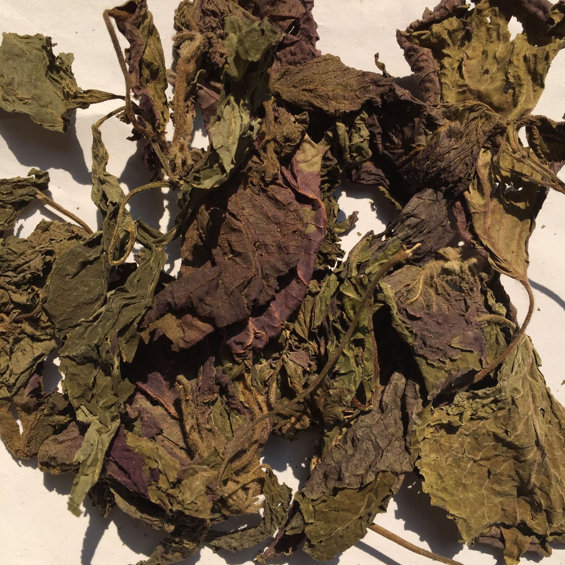 徽信远道地中药材不熏硫磺新货苏叶紫苏叶紫苏叶茶量大价格优惠