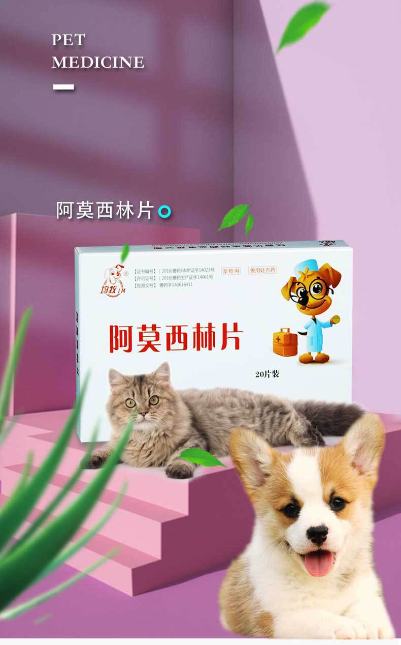 宠物药品狗狗猫咪感冒药尿路感染阿莫西林片口炎猫支鼻治疗消炎片