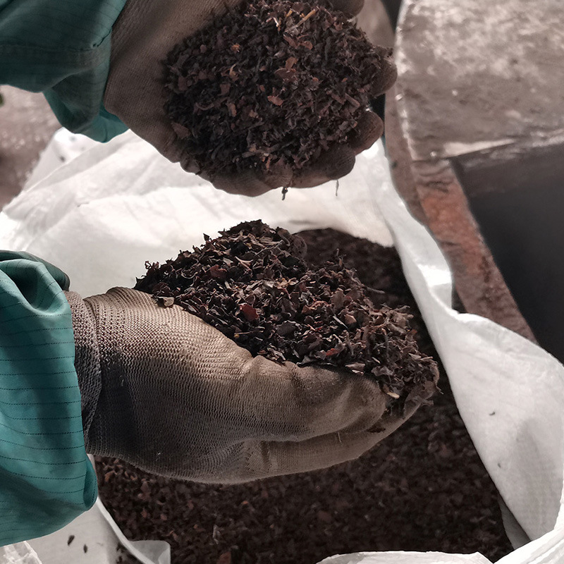 马尾藻/大叶菜 印尼产地进口 海藻肥的原料 海参鲍鱼饲料