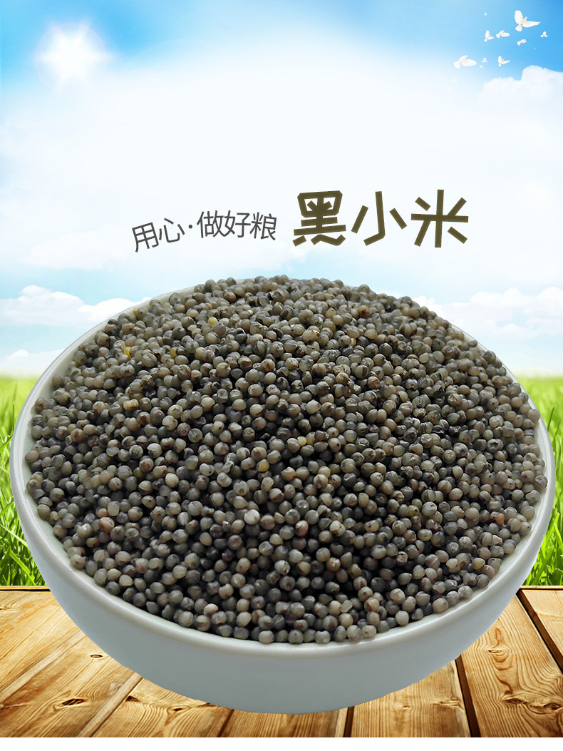 黑小米批发黑色小米小黑米营养孕妇月子宝宝米25kg新货黑小米