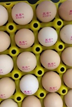 厂家定制鸡蛋鸭蛋蛋品打码机日期logo品牌鸡蛋清洗喷码机