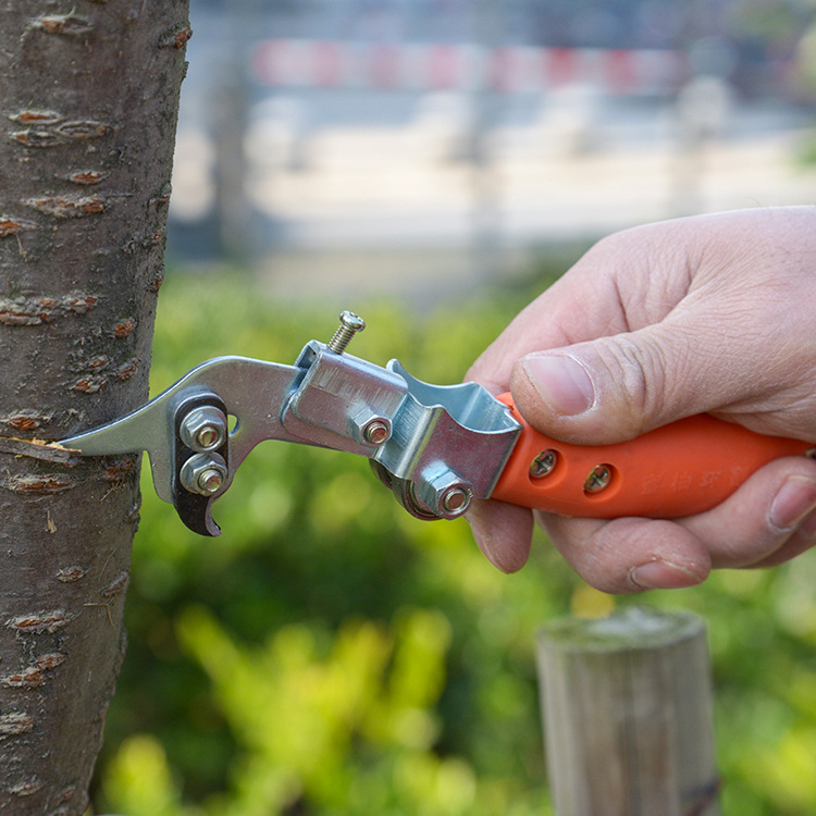 果树环剥刀系列柑橘荔枝环剥刀环剥刀果树葡萄剥皮柚子树环割刀22