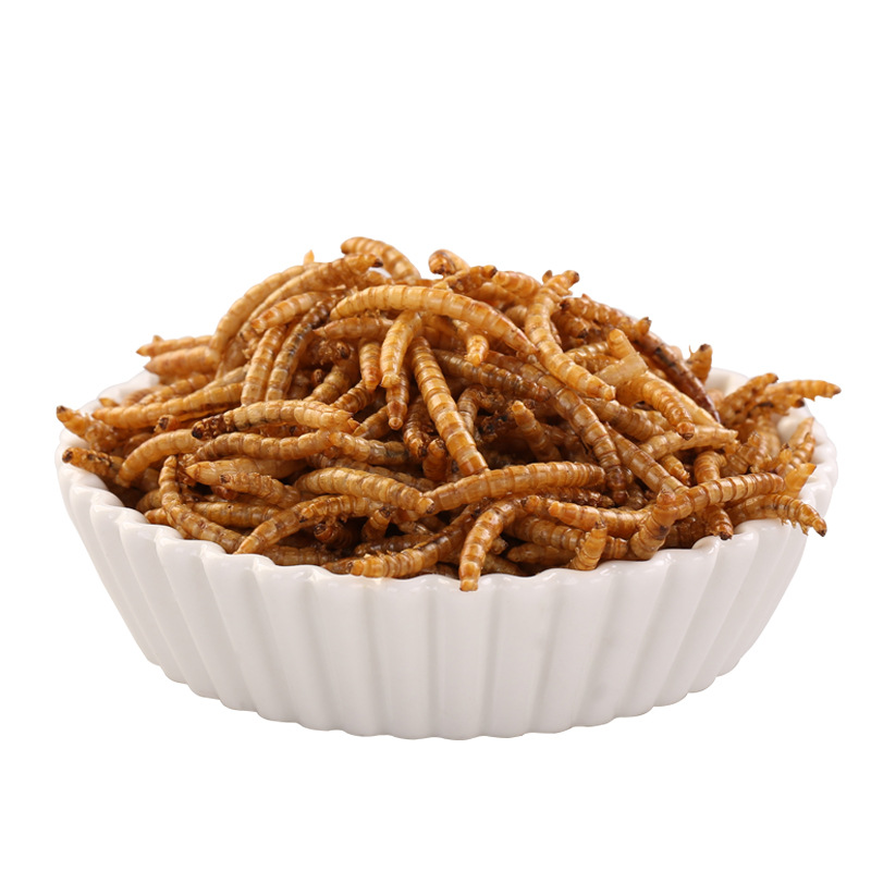 现货黄粉虫干仓鼠零食龙鱼爬宠鸟粮烘干面包虫干高蛋白昆虫100g