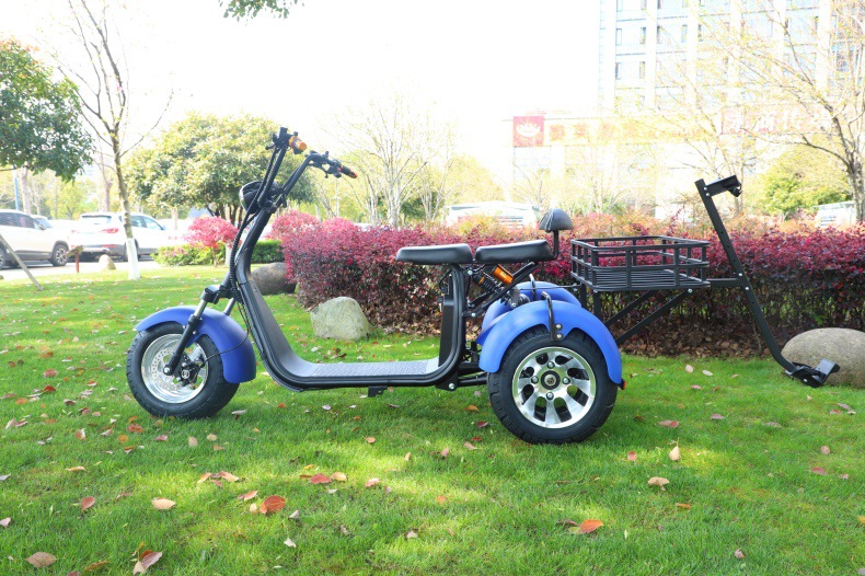 新款大功率电瓶车宽胎哈雷车成人双人座双轮代步车城市哈雷车三轮