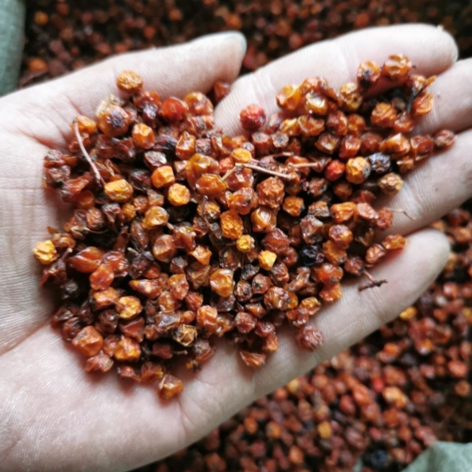 新疆沙棘果干含沙棘油沙棘原浆沙棘茶可包邮包退