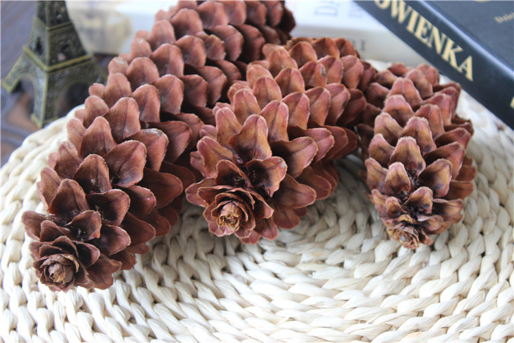 雪松松塔干燥花创意礼品flower干松果大装饰真花云南干花拍照道具