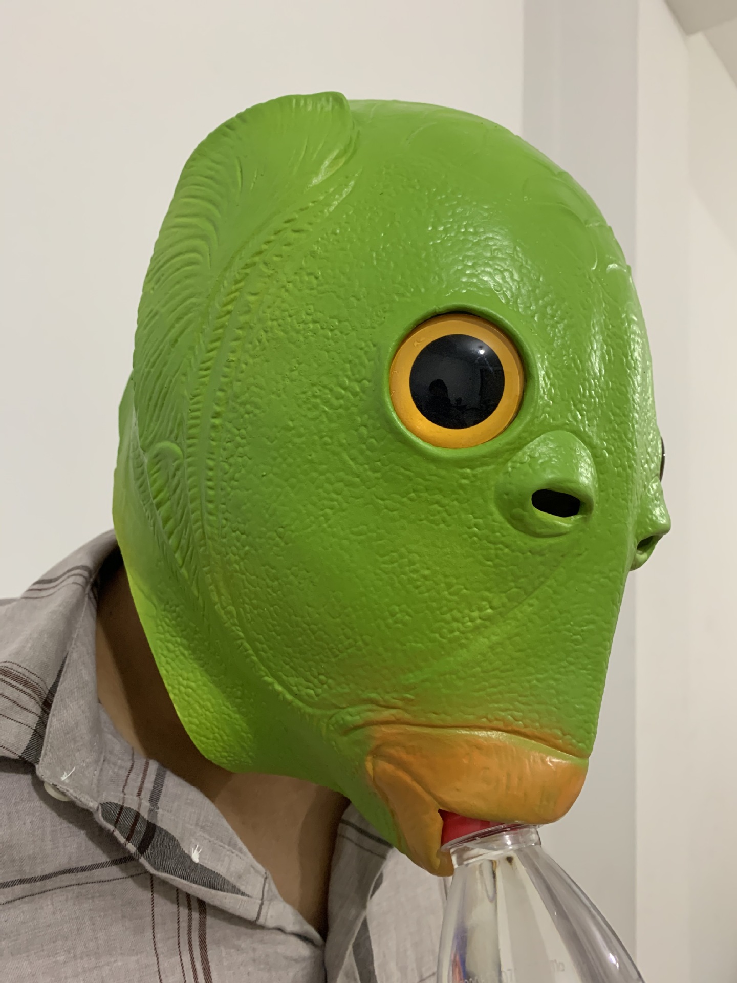 现货抖音同款绿鱼头套动物绿鱼人头套搞笑恶搞整蛊沙雕怪怪鱼面具