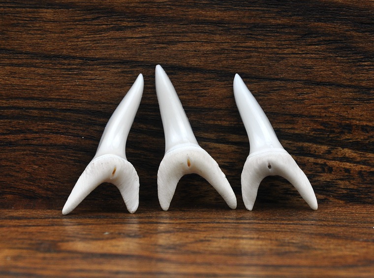 泰国鲨鱼牙齿吊坠男女个性配饰东南亚创意首饰品diy 项坠