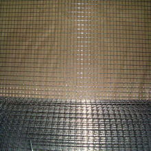圈地防护养殖热镀锌铁丝网 墙面抹墙防裂电焊网卷 粉墙抹灰钢丝网