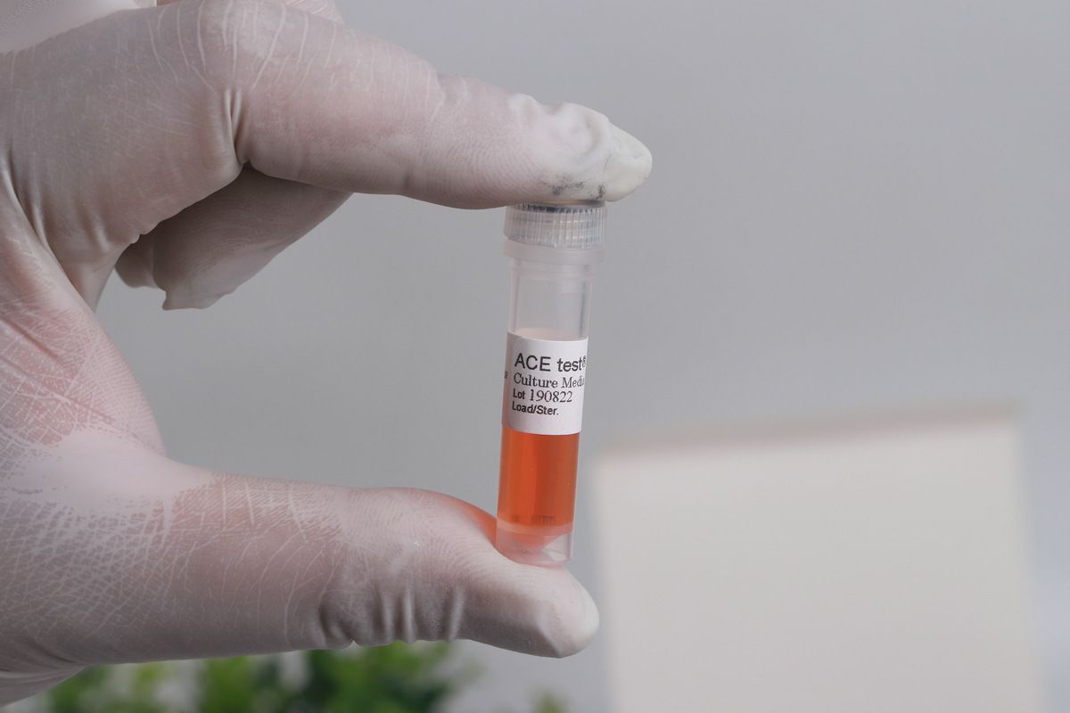 压力蒸汽灭菌生物指示剂压力蒸汽灭菌生物嗜热脂肪杆菌芽孢指示剂