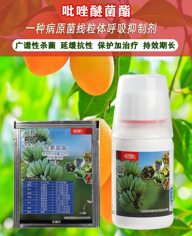 美国杜邦阿砣 啶氧菌酯 霜霉病 黑痘蔓枯黑星病叶斑病杀菌剂100ml