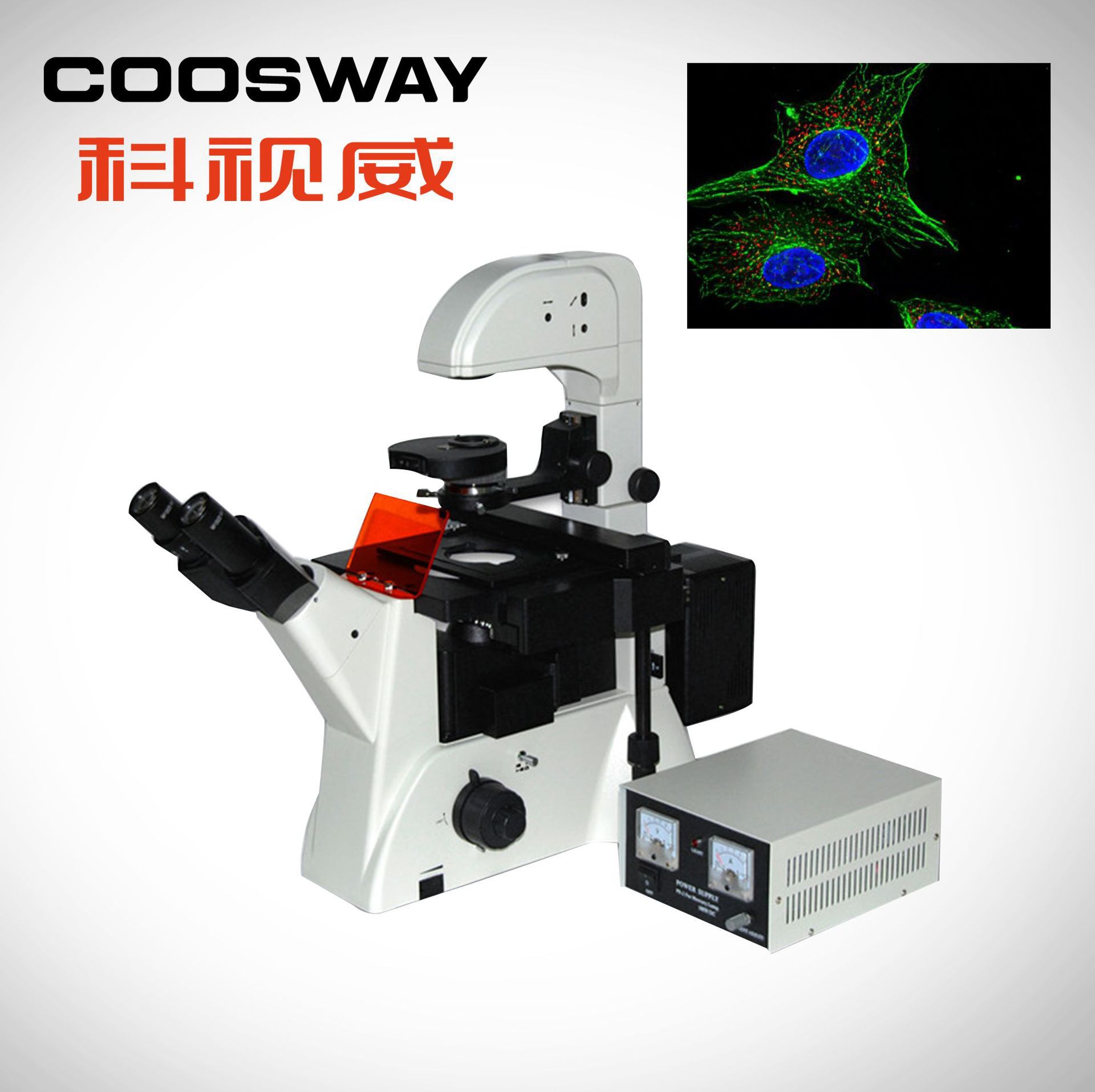 倒置荧光显微镜