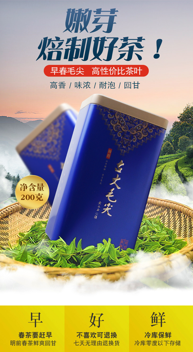 蓝色古丈毛尖罐子生产许可证编号sc11443090300884产品标准号gb/t