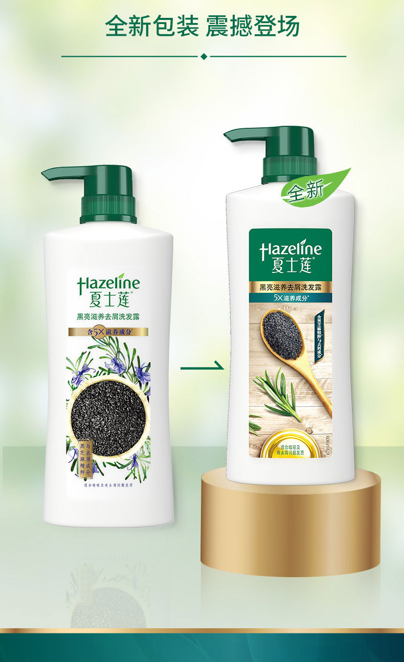 hazeline夏士莲黑芝麻黑亮滋养发根发丝去头屑洗发水750g