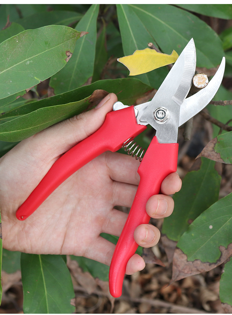 粗枝修枝花艺摘果嫁接剪刀防锈省力回弹锋利防锈果树花木园林剪刀