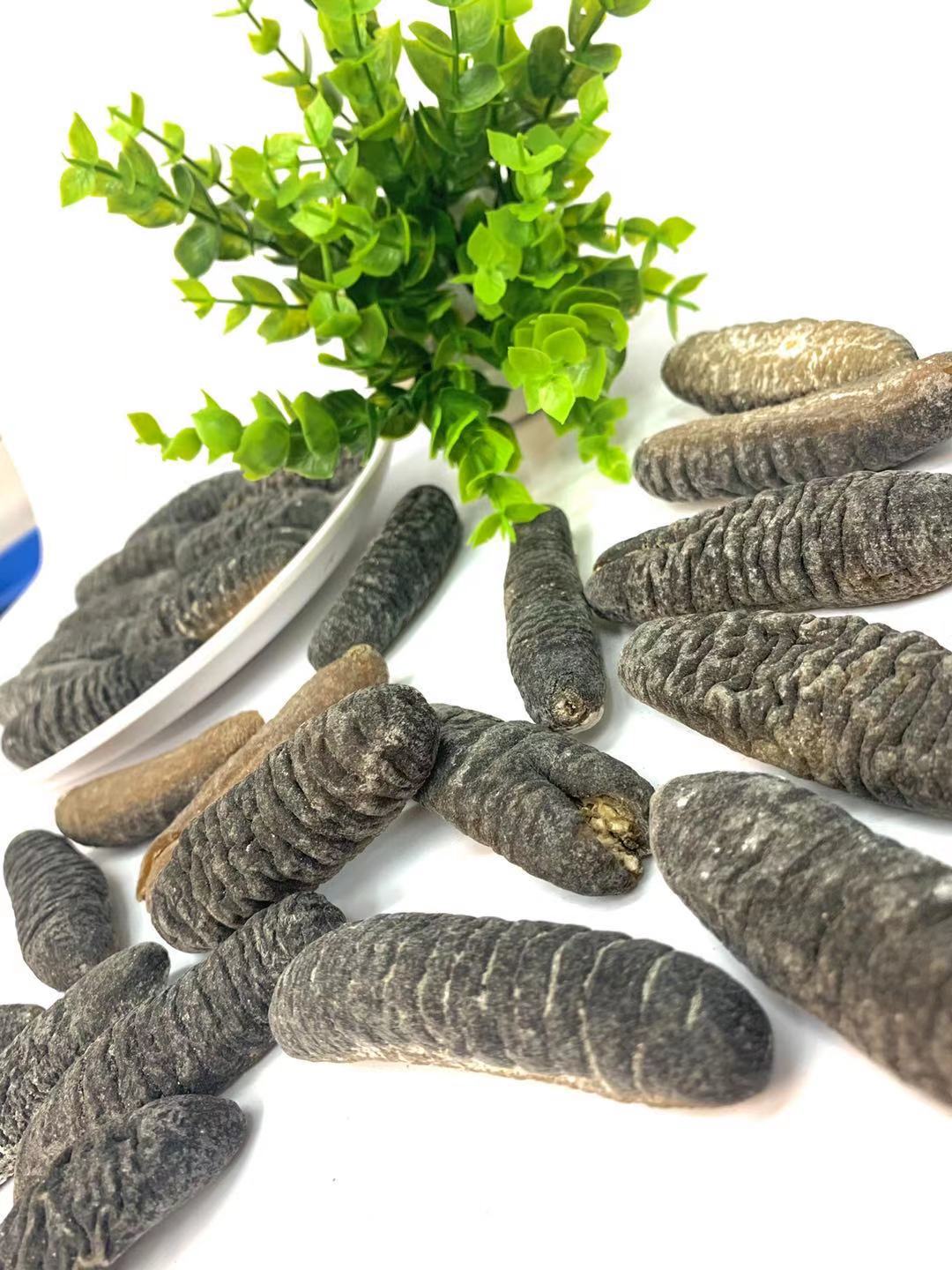 明秃参深海白秃参 淡干海参干货泡发率8倍